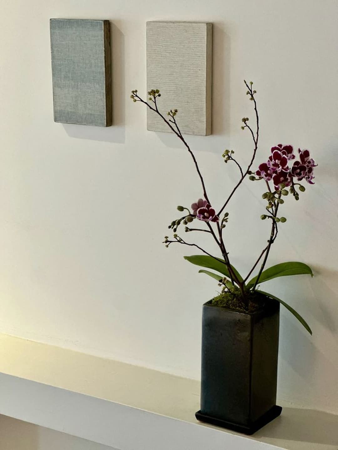 l 사이즈 제품 이미지 1