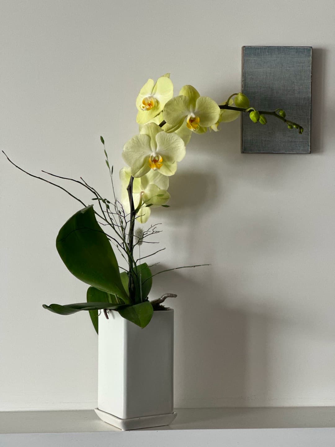 l 사이즈 제품 이미지 3