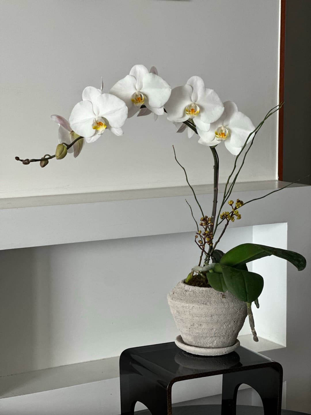 l 사이즈 제품 이미지 4