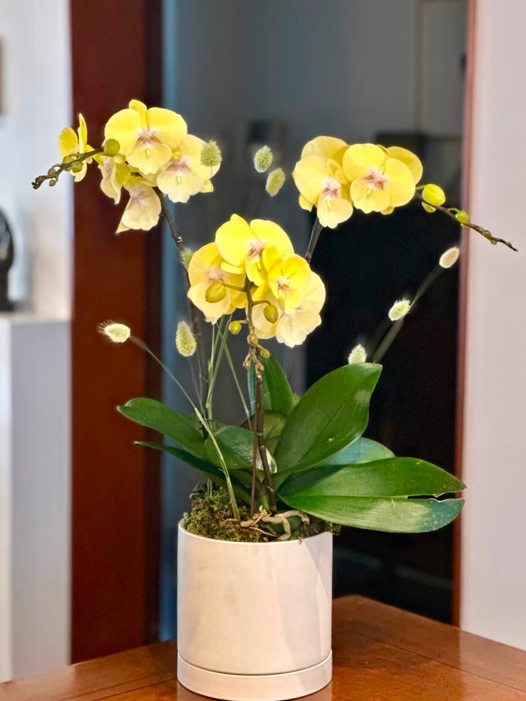 l 사이즈 제품 이미지 7