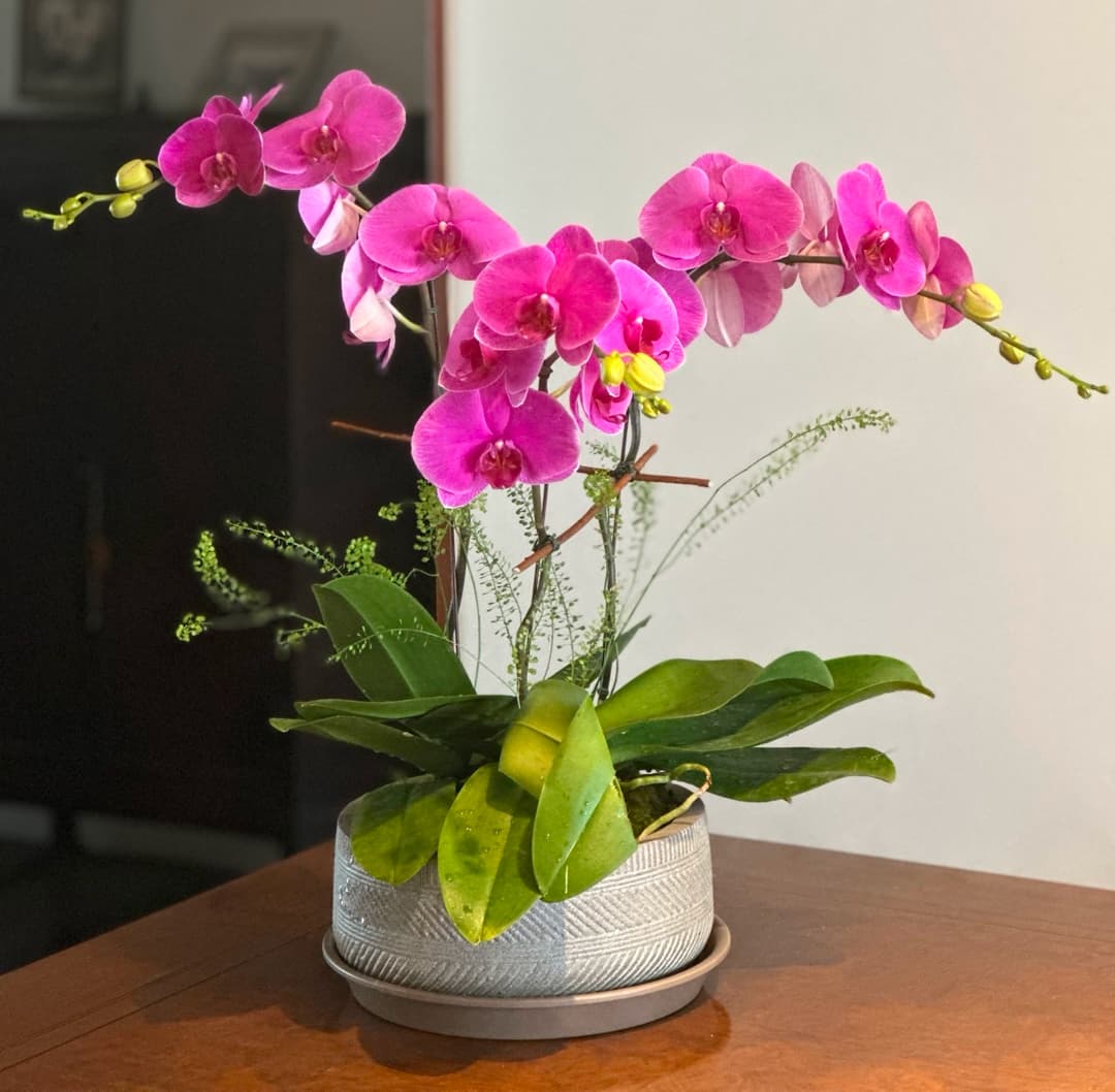 l 사이즈 제품 이미지 9