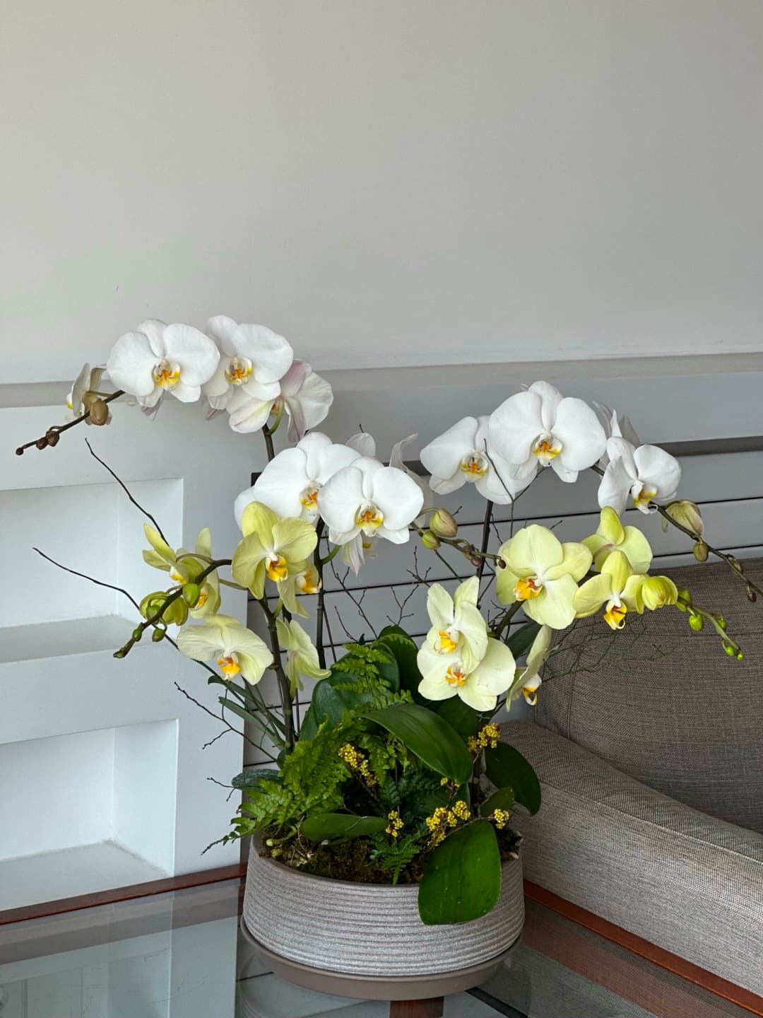 l 사이즈 제품 이미지 1