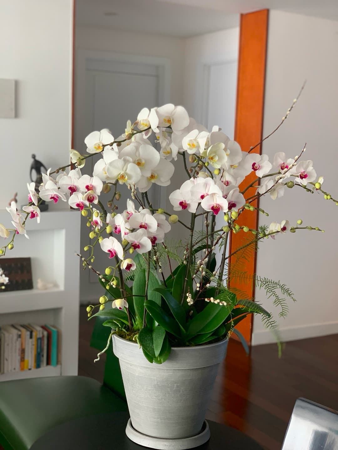 l 사이즈 제품 이미지 1