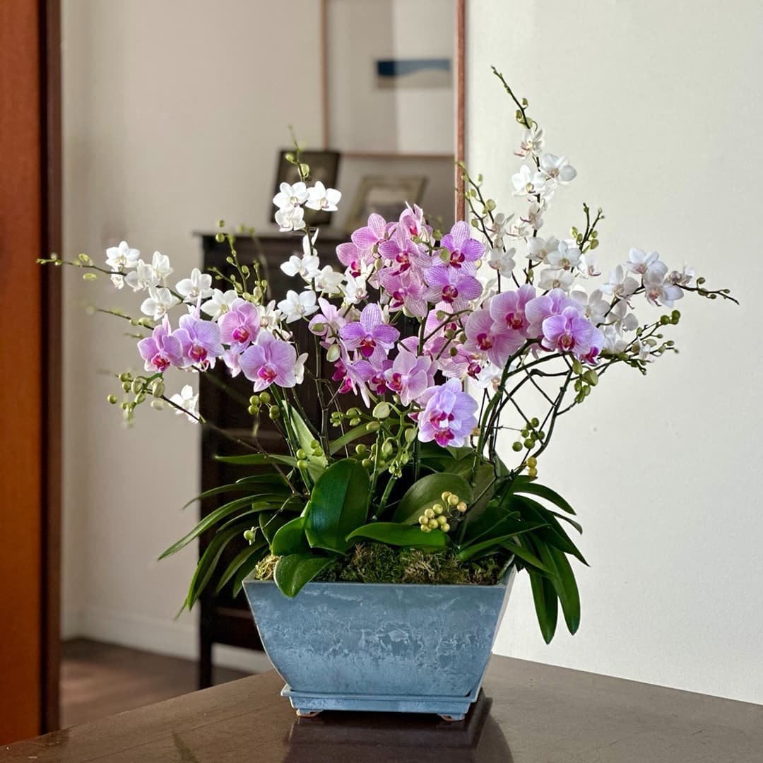 l 사이즈 제품 이미지 2