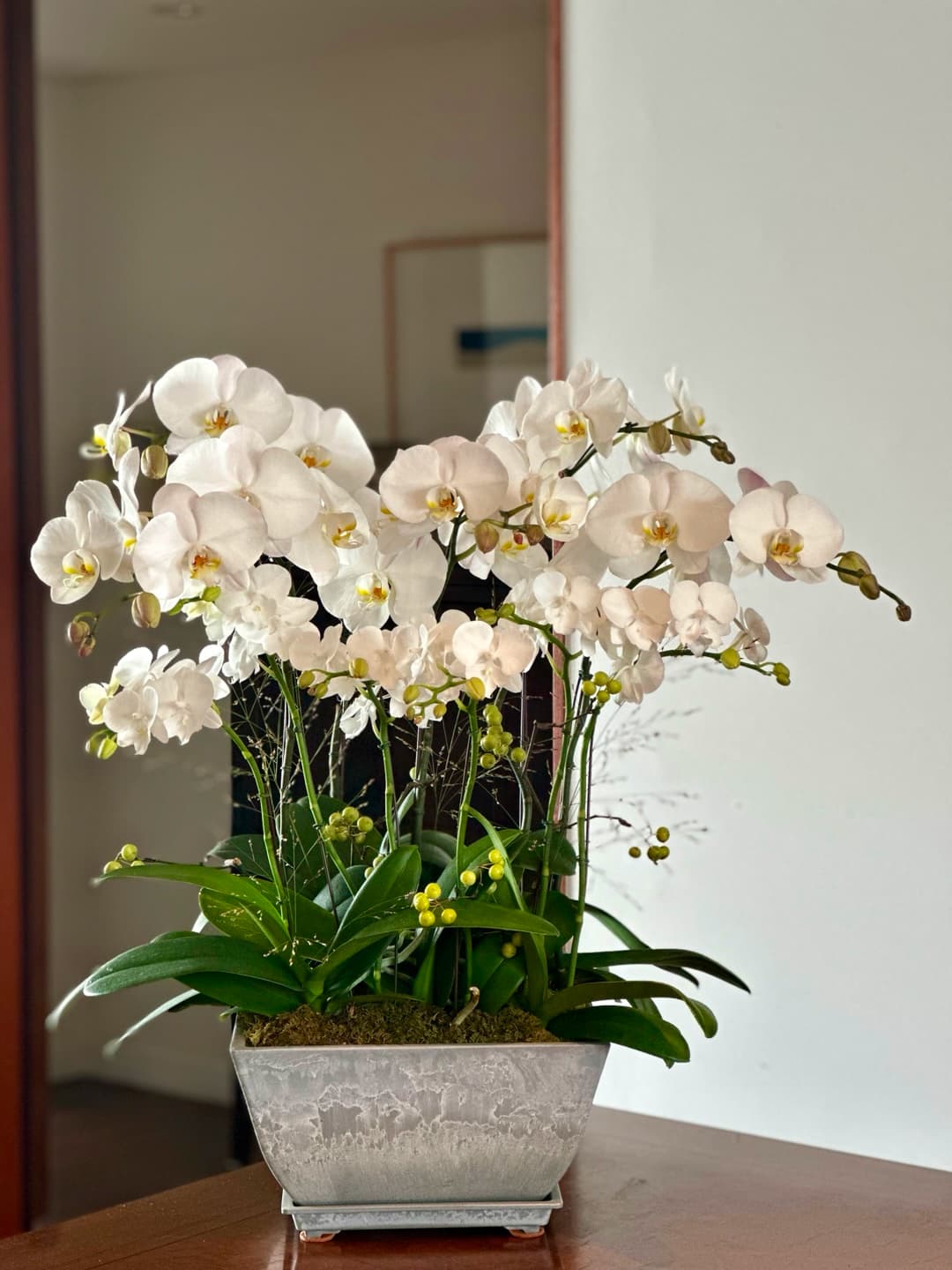 l 사이즈 제품 이미지 8