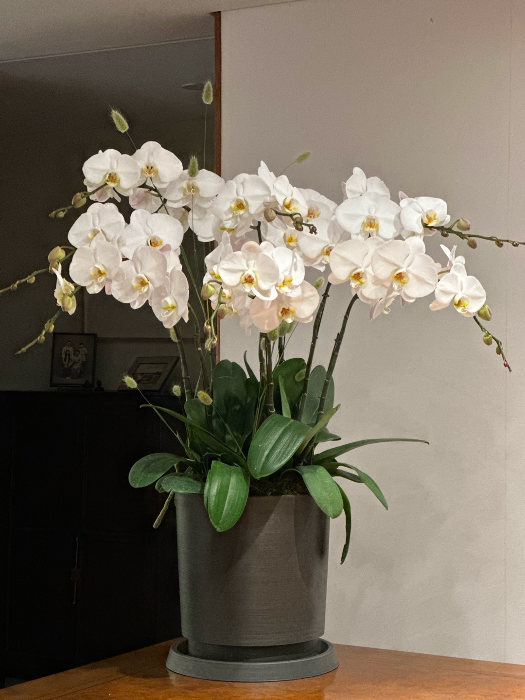 l 사이즈 제품 이미지 9