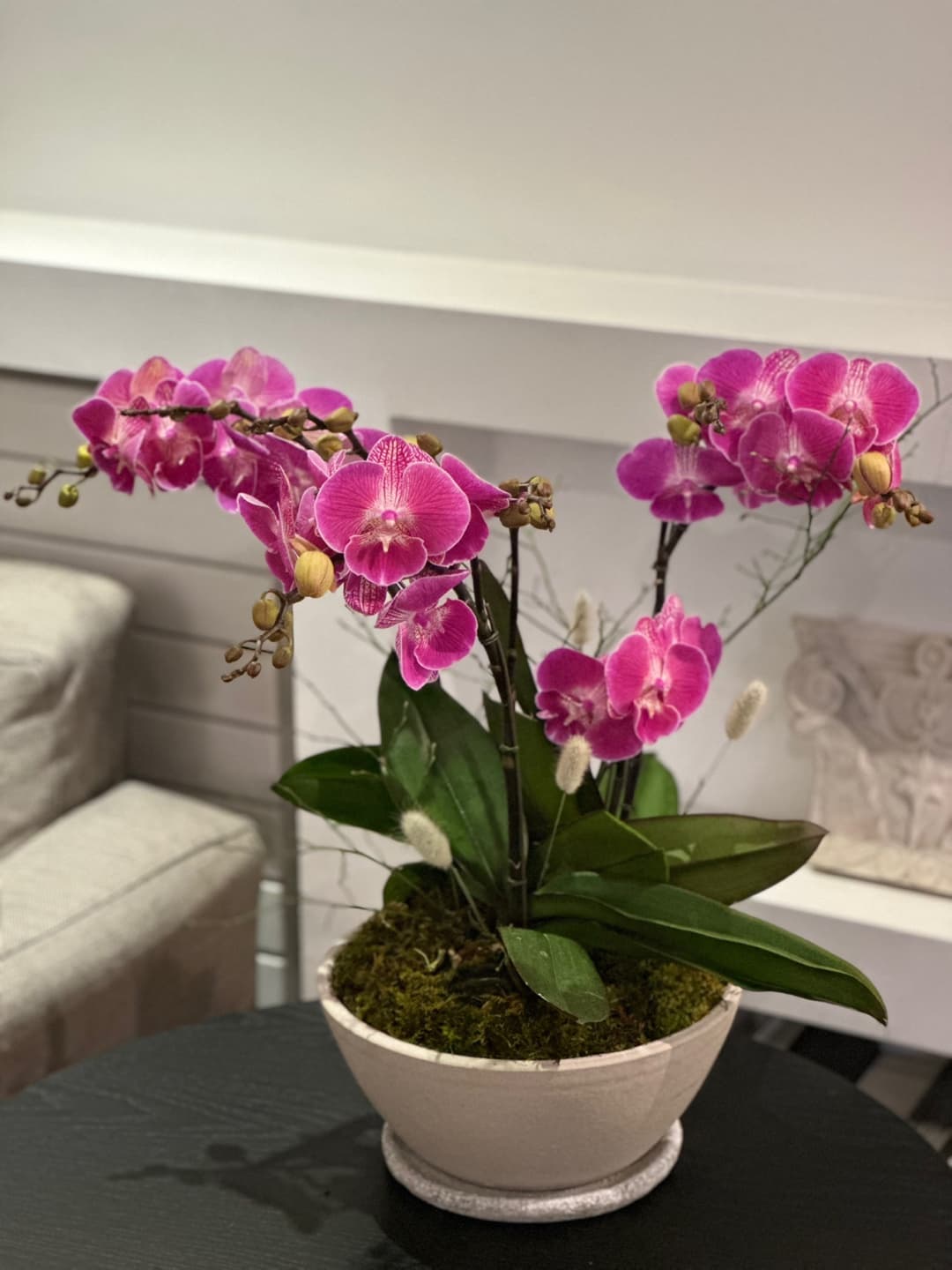 l 사이즈 제품 이미지 4