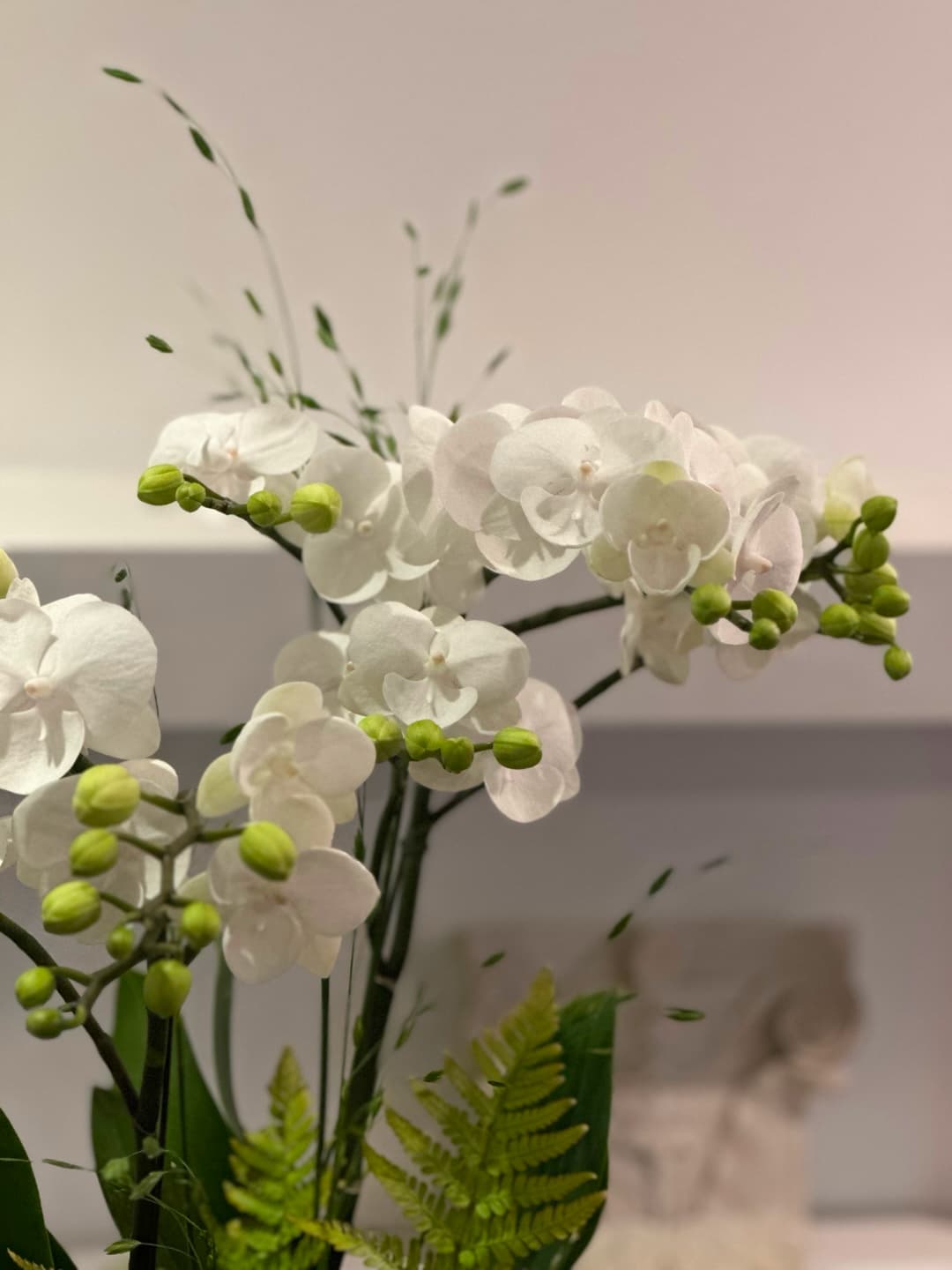 l 사이즈 제품 이미지 3