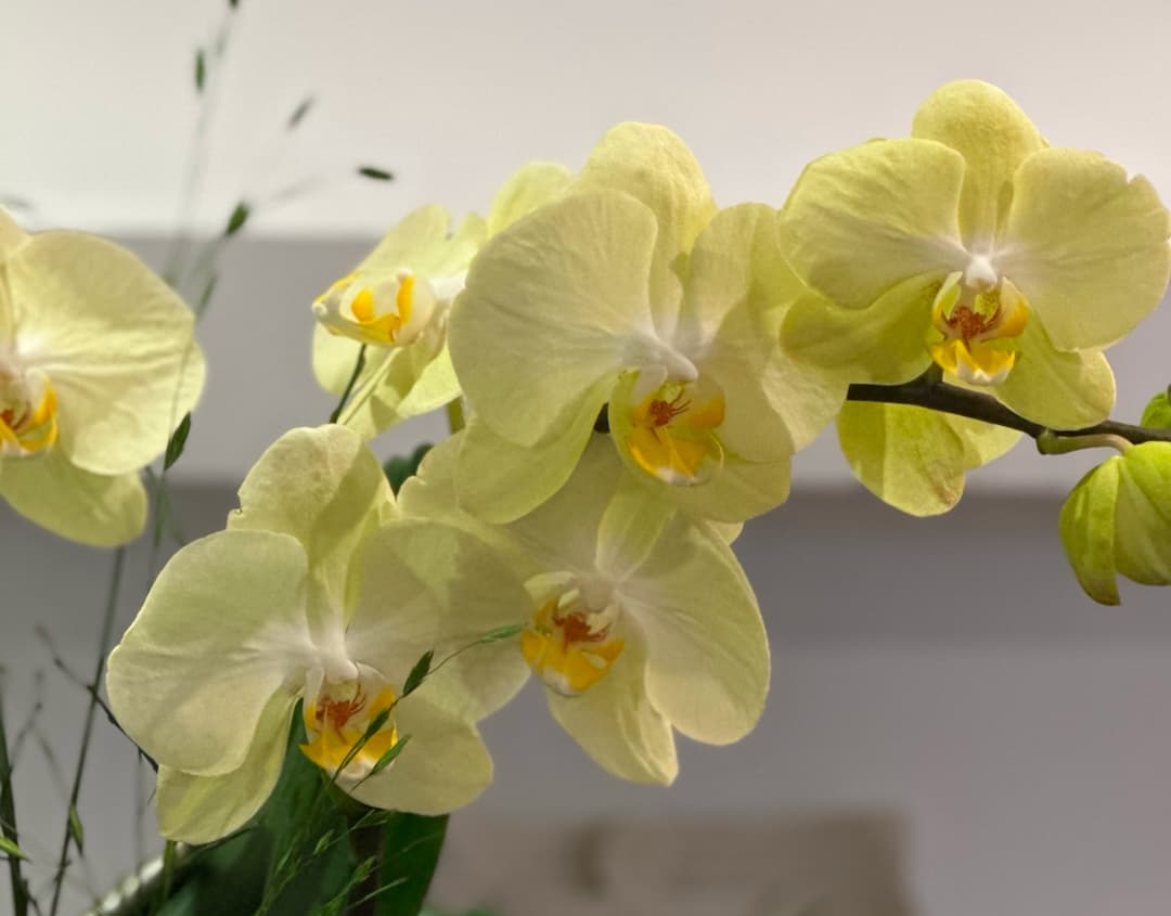 l 사이즈 제품 이미지 2