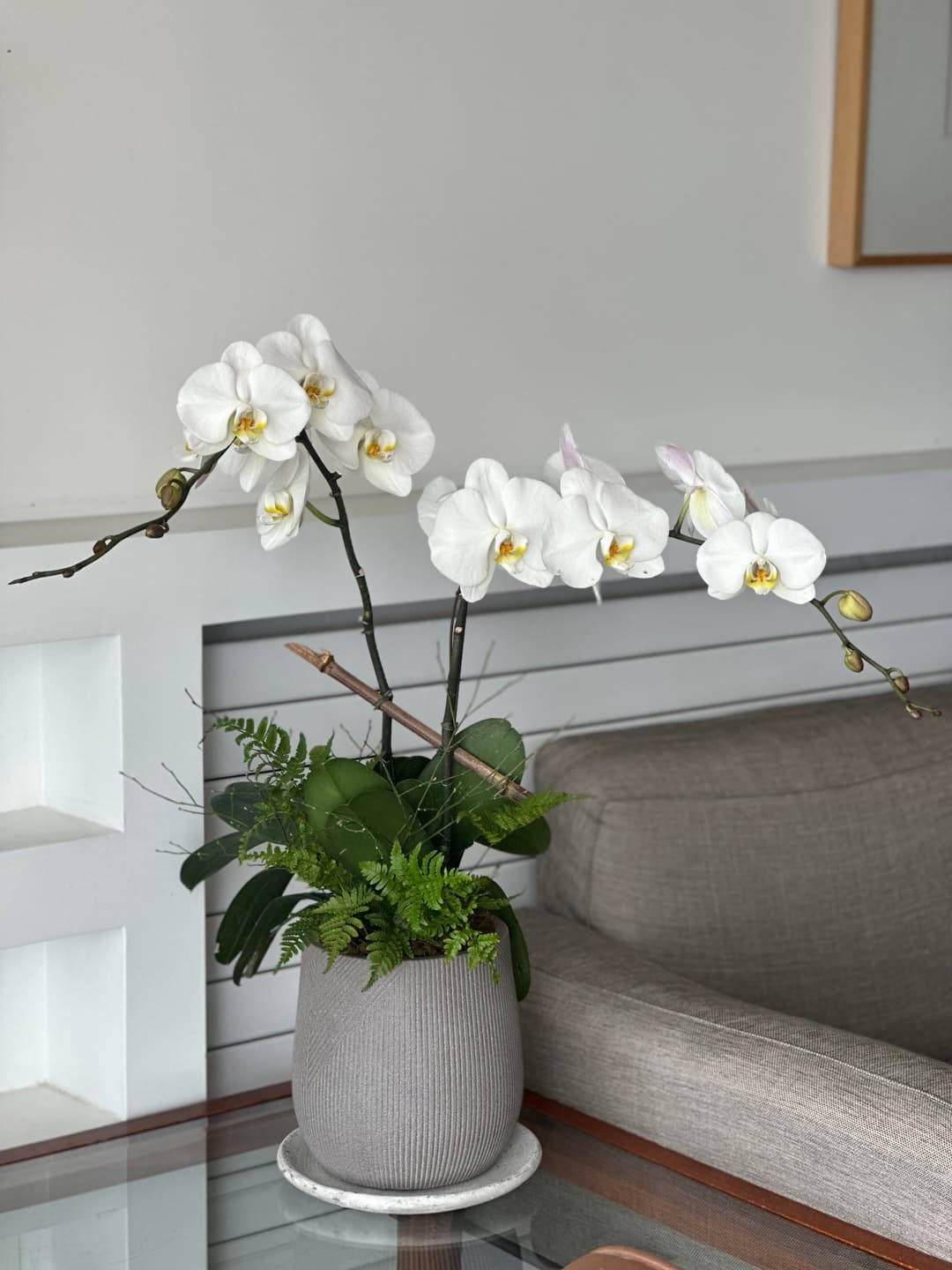 l 사이즈 제품 이미지 6